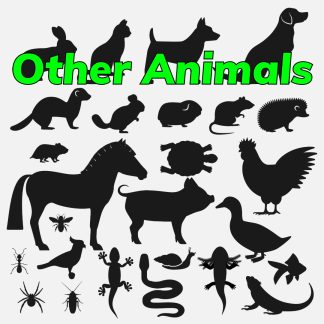 Other Animals