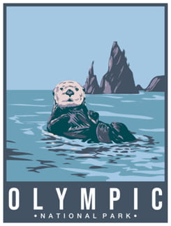 Olympic - Washington