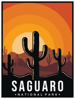 Saguaro - Arizona